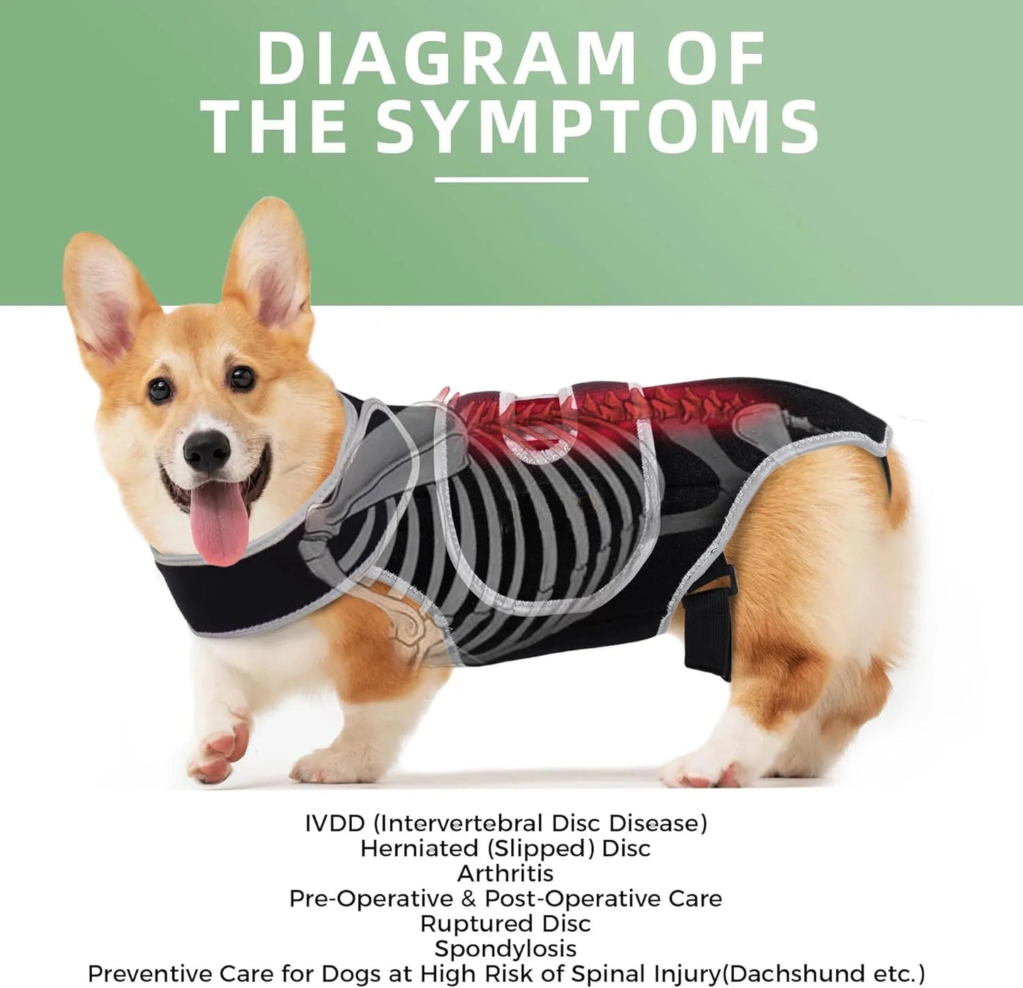 Pet Protective Gear for Dog Intervertebral Disc Injuries, Support Vest, Pet Back Fracture Pain Relief Band