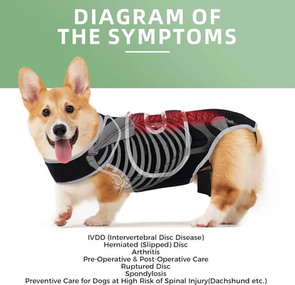 Pet Protective Gear for Dog Intervertebral Disc Injuries, Support Vest, Pet Back Fracture Pain Relief Band