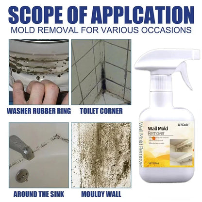 Mold Remover Spray Prevent Fungus Furniture Tile Wall Stains Removal Sink Descale Antibacterial Bathroom Mildew Cleaning Agent