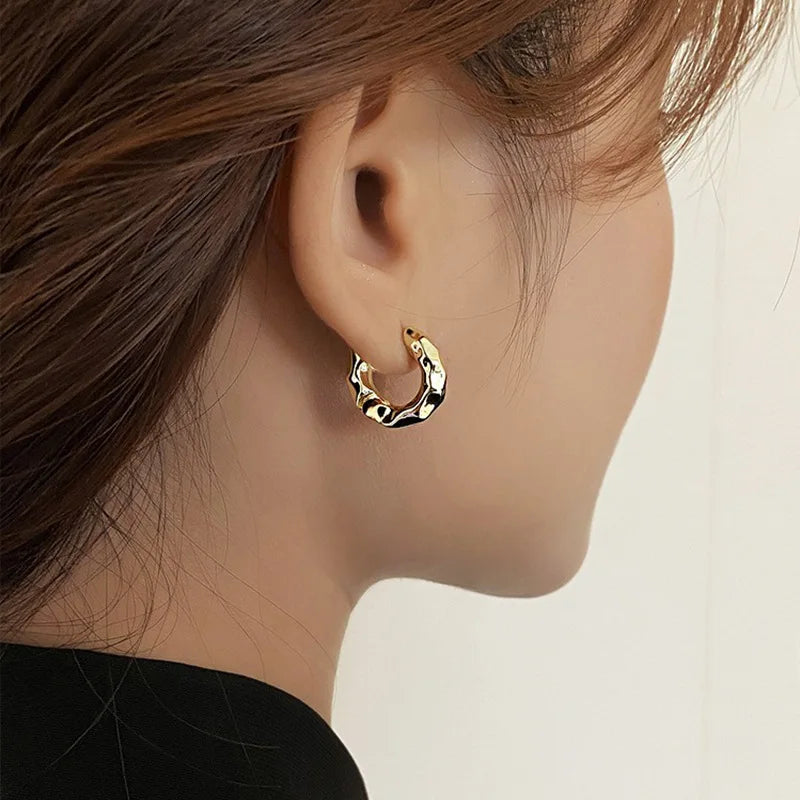 Trendy 925 Sterling Silver Circle Hoop Earrings for Women Real Silver Jewelry Fashion Earrings