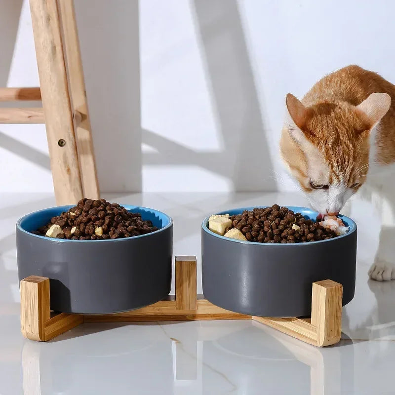 Self-Assembly Ceramic Double Cat Bowl Dog Bowl 400ML Pet Feeding Water Bowl Cat Puppy Feeder Product SuppliesFood Water Bowls