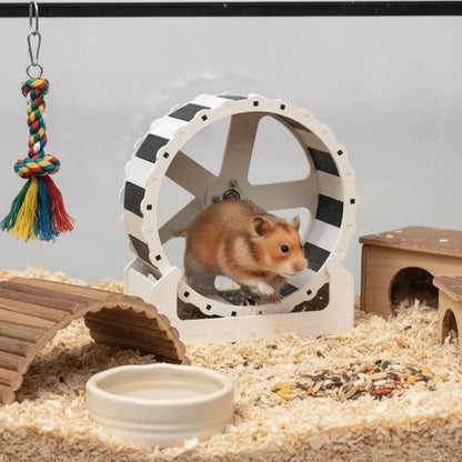 Durable Plastic Hamster Running Wheel Silent Stable Base Rodent Running Wheel 21cm Colorful Exercise Wheel Pet Exercise