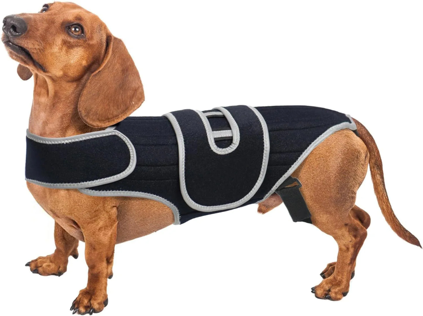 Pet Protective Gear for Dog Intervertebral Disc Injuries, Support Vest, Pet Back Fracture Pain Relief Band