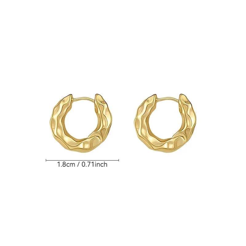 Trendy 925 Sterling Silver Circle Hoop Earrings for Women Real Silver Jewelry Fashion Earrings