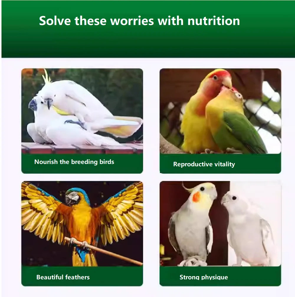 Multi-Effect Breeding Oil for Parrots, Promotes Mating & Fertility for Breeder Birds, Rutin, Vitamin E, and Essential Nutrients