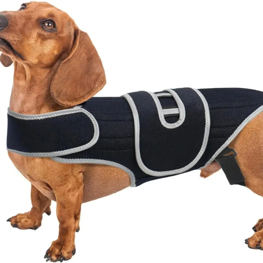 Pet Protective Gear for Dog Intervertebral Disc Injuries, Support Vest, Pet Back Fracture Pain Relief Band