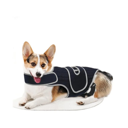 Pet Protective Gear for Dog Intervertebral Disc Injuries, Support Vest, Pet Back Fracture Pain Relief Band
