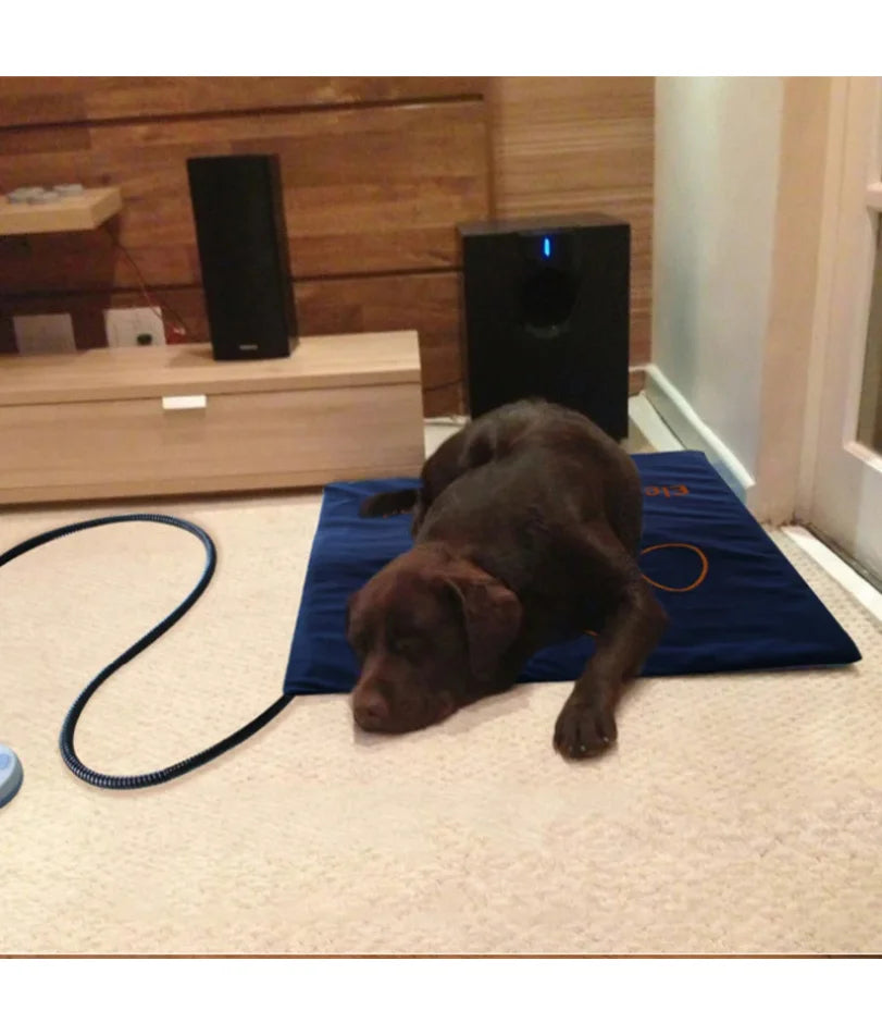 45×60cm Pet Electric Heating Pad Blanket Dog Cat Winter Warmer Pad Waterproof Adjustable Temperature Dog Mats US/UK/EU Plug