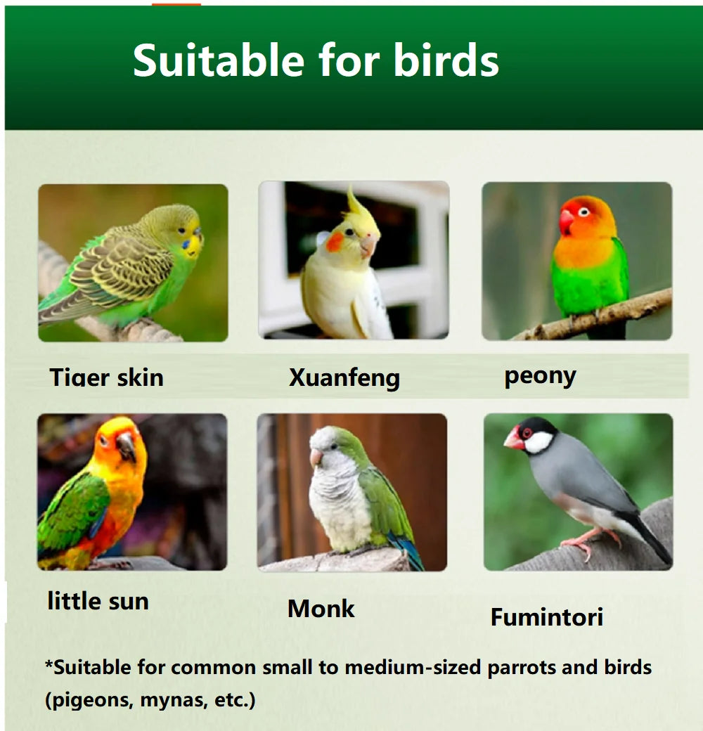 Multi-Effect Breeding Oil for Parrots, Promotes Mating & Fertility for Breeder Birds, Rutin, Vitamin E, and Essential Nutrients