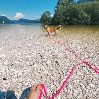 PVC Long Dog Leashes Cat Traction Lead Rope Candy Color Outdoor Short Pet Leash Blue Rose Red Yellow