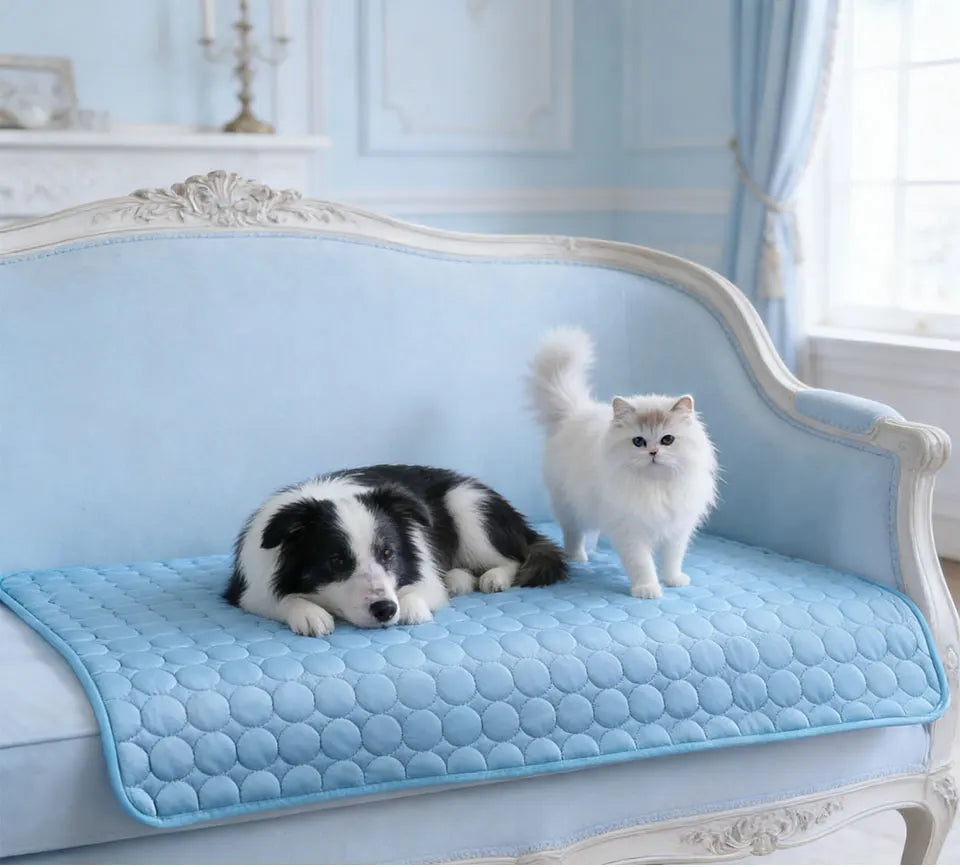 Raymax Summer Dog Cooling Mat Pet Cold Bed Extra Large Small Big Dogs Pet Accessories Cat Durable Blanket Sofa Ice Silk Blanket