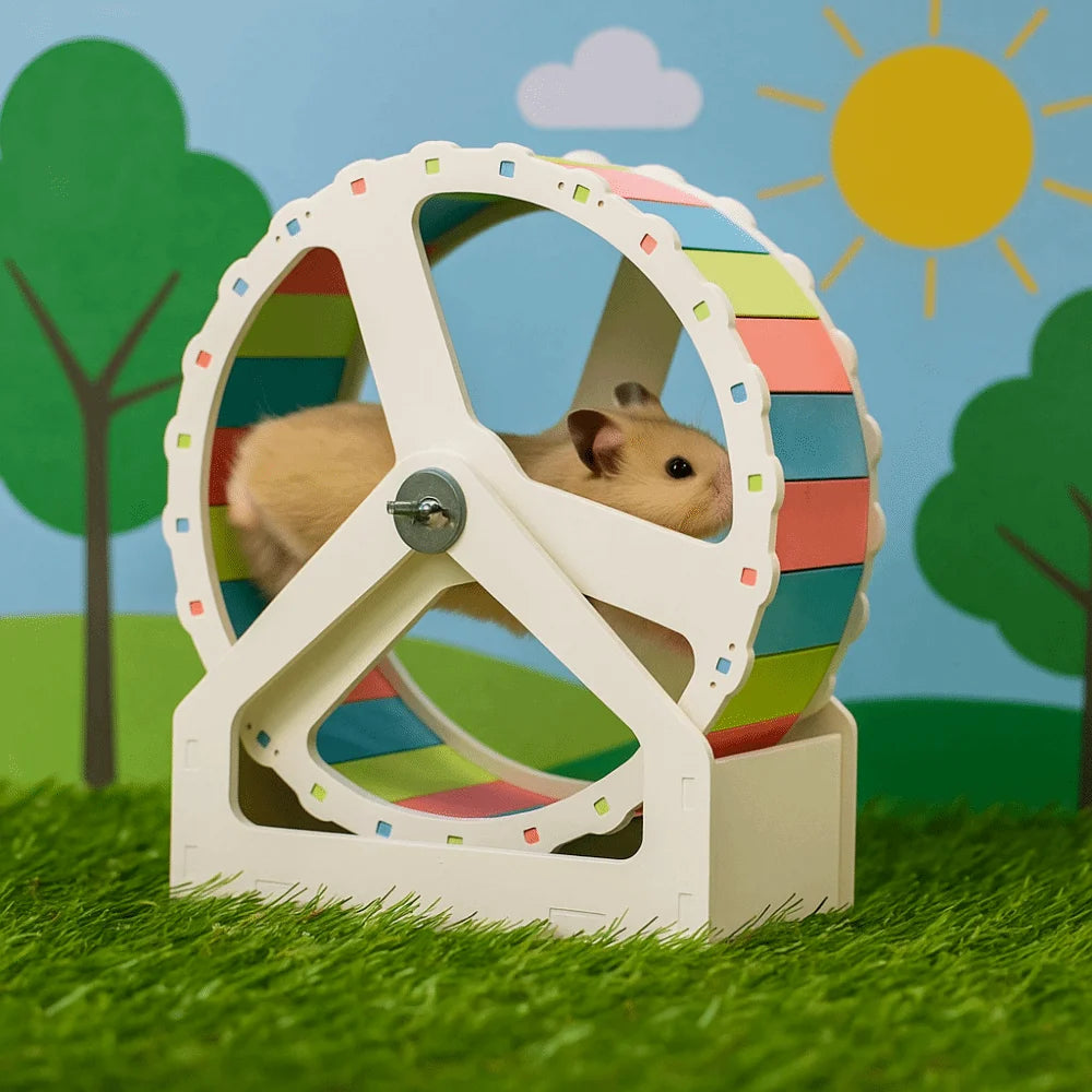 Durable Plastic Hamster Running Wheel Silent Stable Base Rodent Running Wheel 21cm Colorful Exercise Wheel Pet Exercise