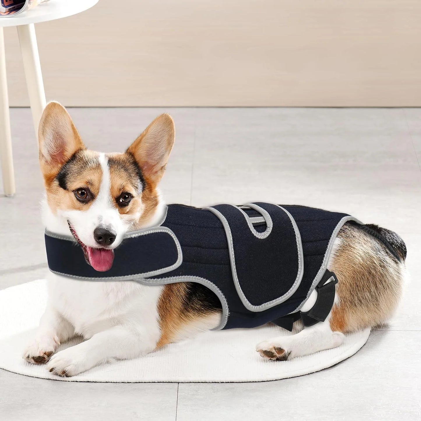 Pet Protective Gear for Dog Intervertebral Disc Injuries, Support Vest, Pet Back Fracture Pain Relief Band