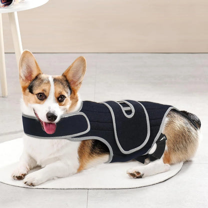Pet Protective Gear for Dog Intervertebral Disc Injuries, Support Vest, Pet Back Fracture Pain Relief Band