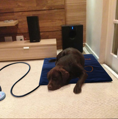 45×60cm Pet Electric Heating Pad Blanket Dog Cat Winter Warmer Pad Waterproof Adjustable Temperature Dog Mats US/UK/EU Plug