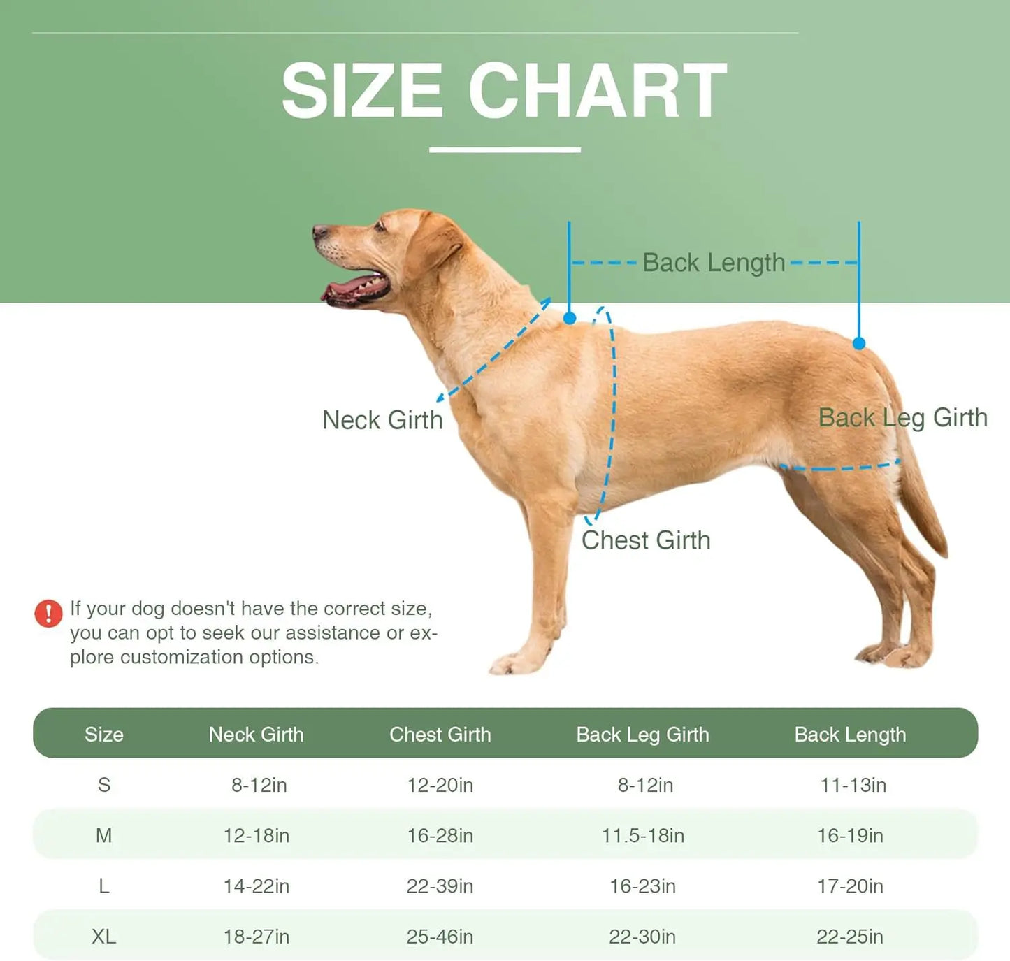 Pet Protective Gear for Dog Intervertebral Disc Injuries, Support Vest, Pet Back Fracture Pain Relief Band