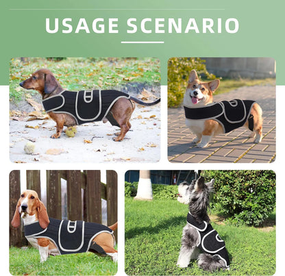 Pet Protective Gear for Dog Intervertebral Disc Injuries, Support Vest, Pet Back Fracture Pain Relief Band