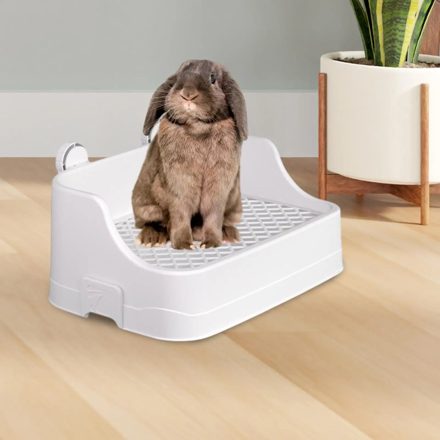Large Capacity Rabbits Litter Box Rectangular Bunny Potty Corner for Guinea Pigs Chinchillas Small Pet Cleanging Tools